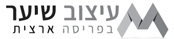 עיצוב שיער